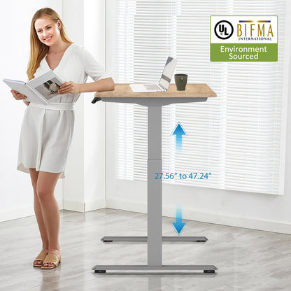 Electric Standing Desk  with Dual Motor Height Adjustable Sit Stand Desk Computer Workstation with USB Charge
"	
，Silver Grey