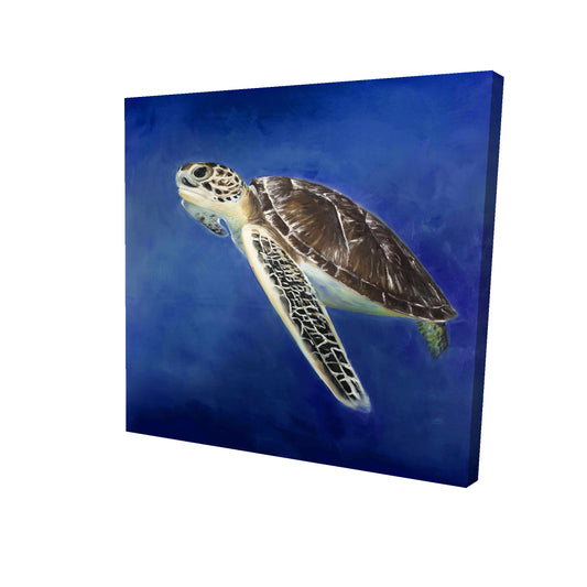 Beautiful sea turtle - 08x08 Print on canvas