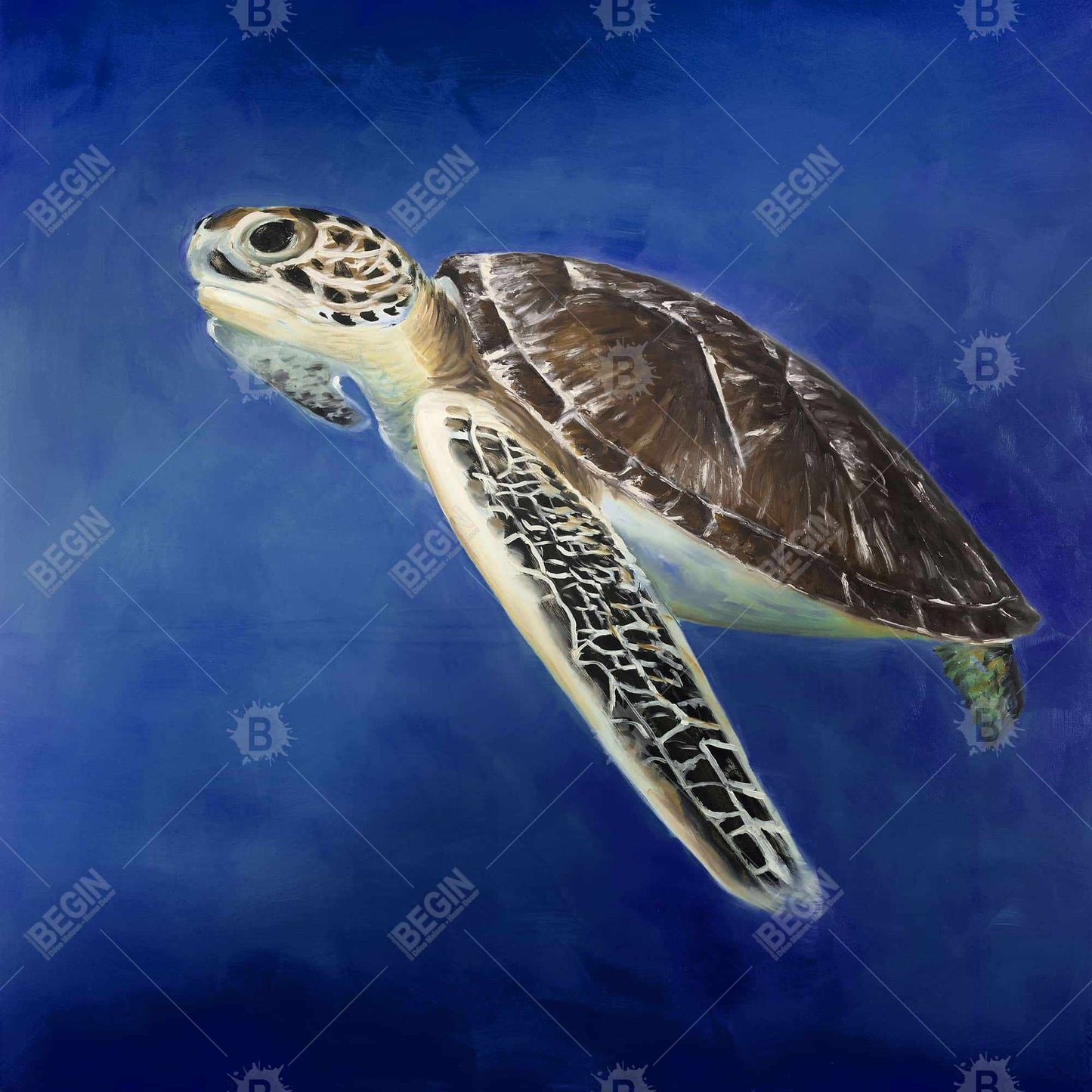 Beautiful sea turtle - 08x08 Print on canvas