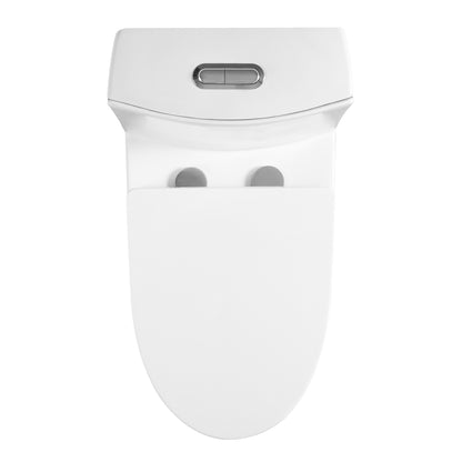 Chromed flush button for toilet 21S0901-GW