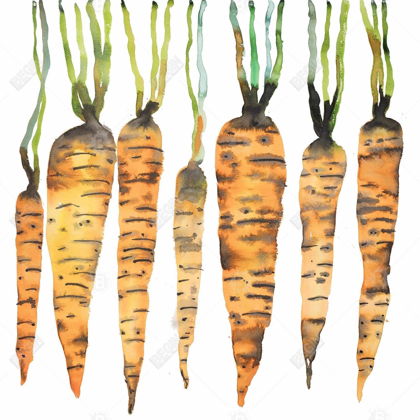 Watercolor carrots - 32x32 Print on canvas