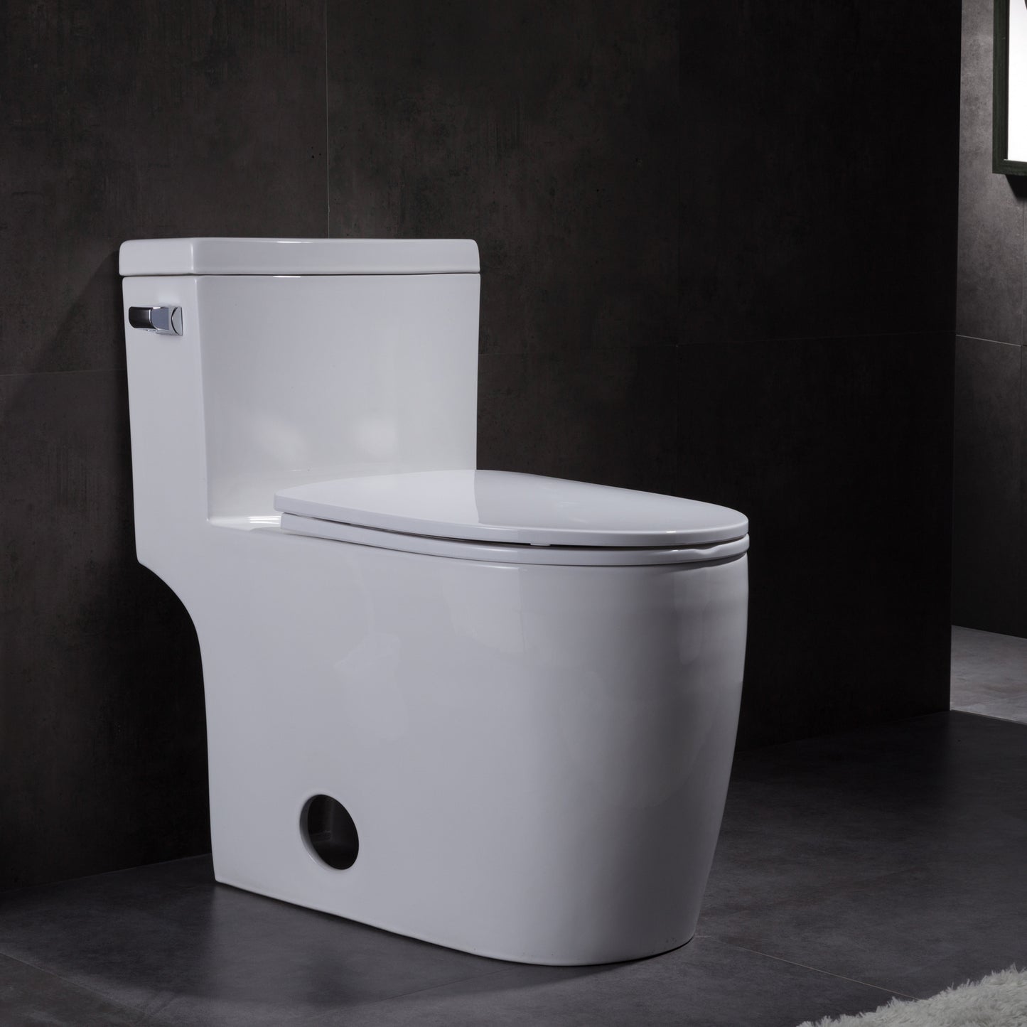 1.28 GPM (Water Efficient) One-Piece ADA Elongated Toilet, Soft Close Seat Included (cUPC Approved) - 28.7"x16.5"x28.7"