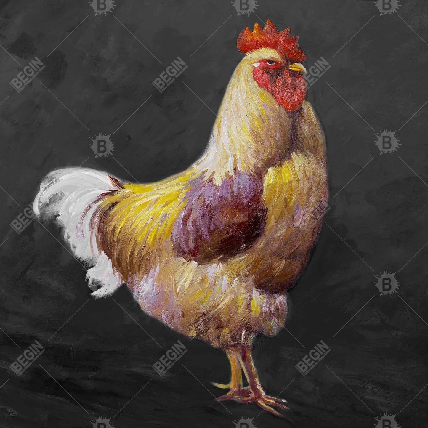 Beautiful rooster 2 - 16x16 Print on canvas