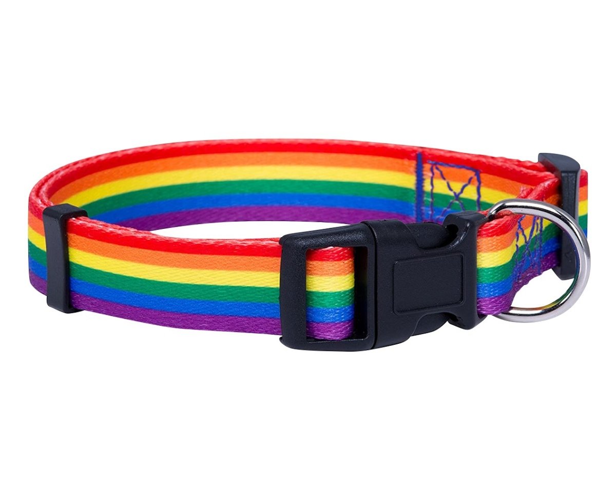 12 Rainbow Striped Dog/Cat/Pet Collars by Fundraising For A Cause