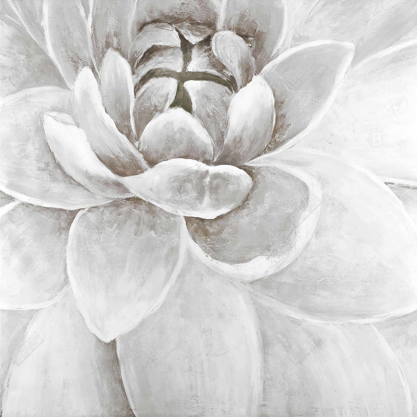 Delicate white chrysanthemum - 12x12 Print on canvas