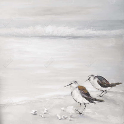 Two sandpipiers birds - 08x08 Print on canvas