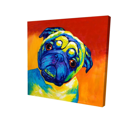 Curious pug - 16x16 Print on canvas