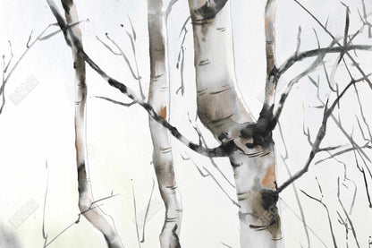 Three birches trees - 20x30 Print on canvas