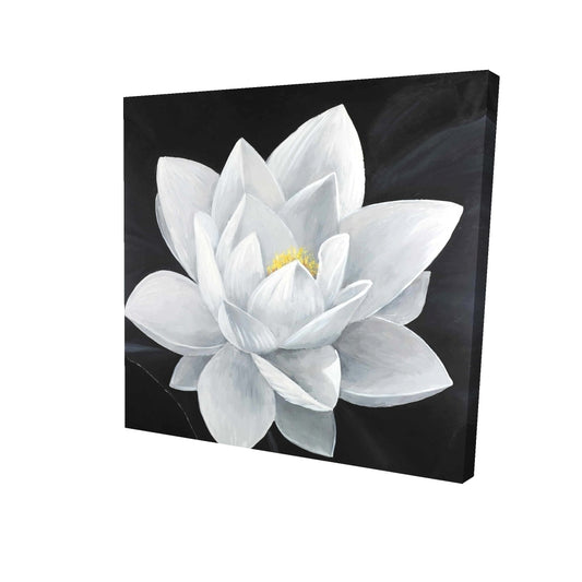 Overhead view of a lotus flower - 08x08 Print on canvas