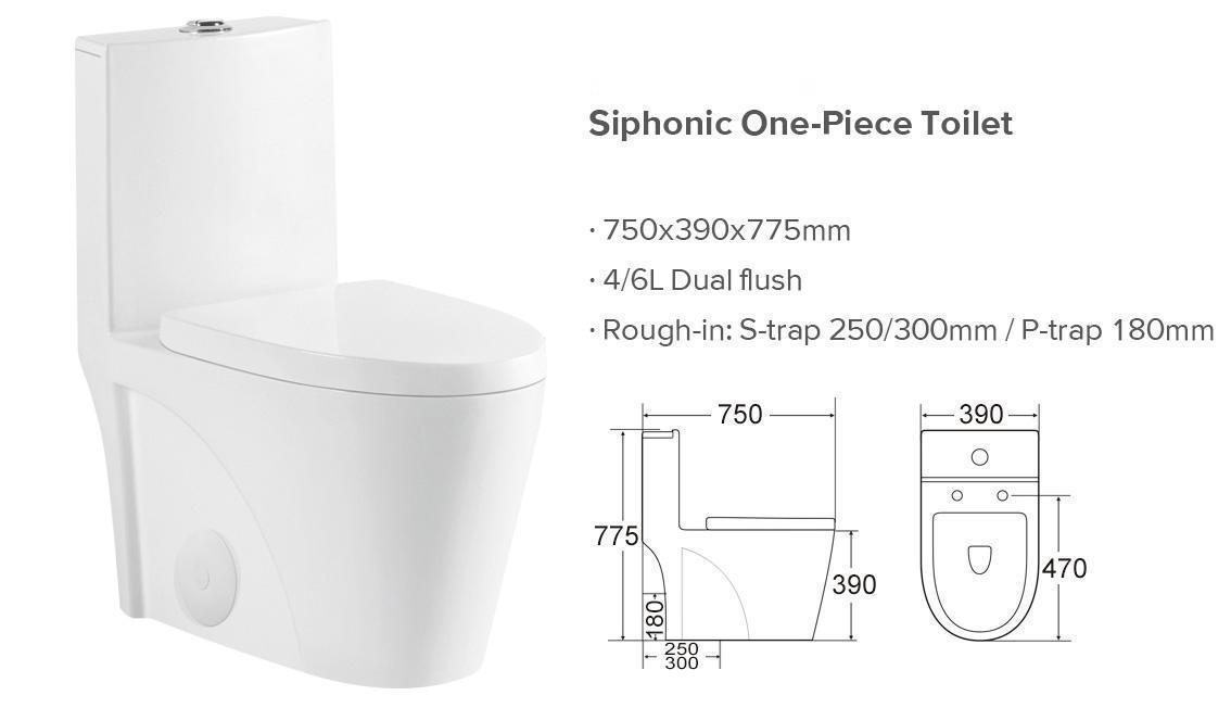 Ceramic One Piece Toilet 30 Inch Length With Soft Close Seat-G-lemon SKU:BTC2173MOWH