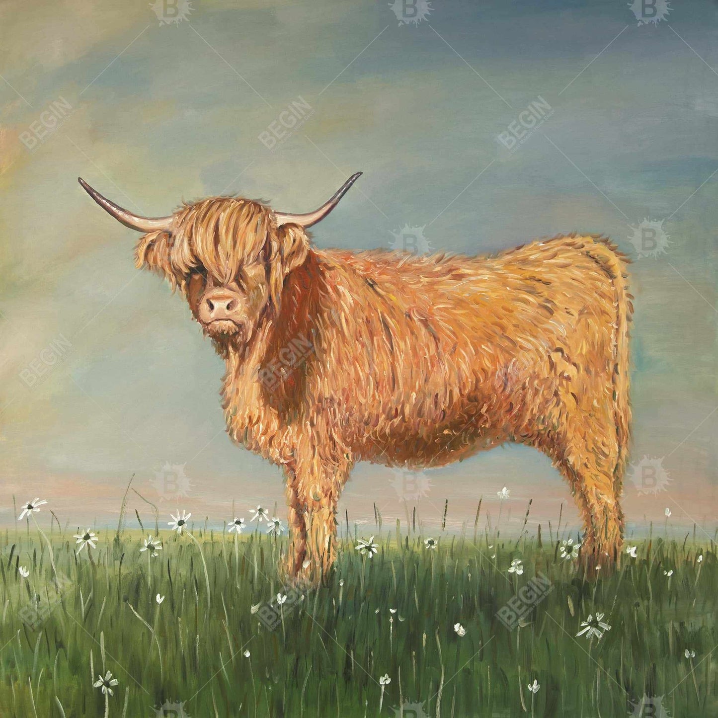 Daisy the highland cow - 32x32 Print on canvas