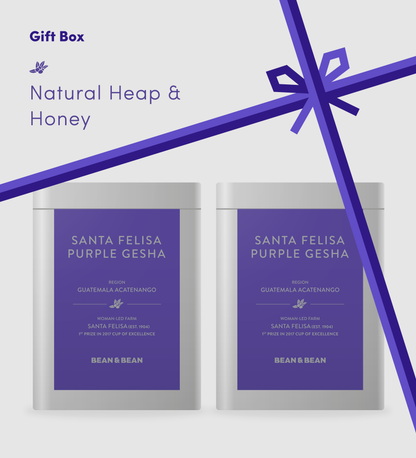 Limited Gesha Box by Bean & Bean Coffee Roasters