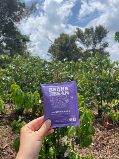 Tanzania Kilimanjaro Peaberry Coffee by Bean & Bean Coffee Roasters