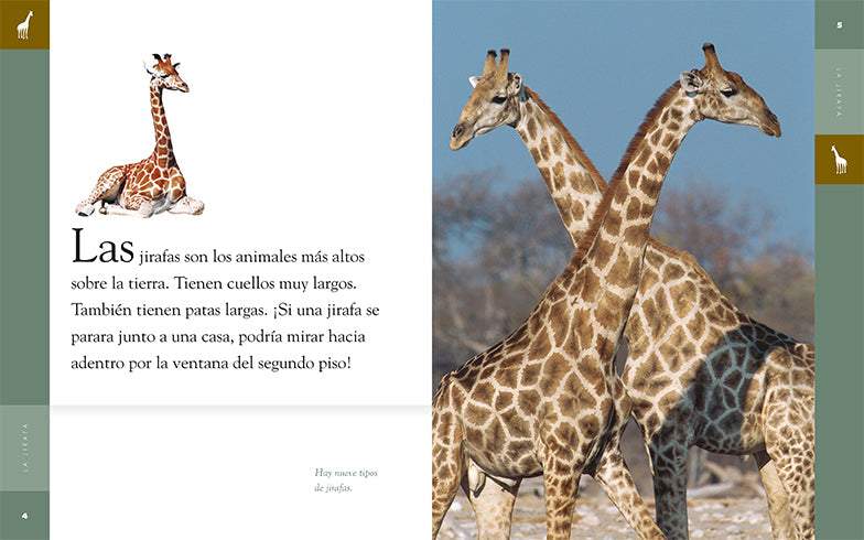 Planeta animal - New Edition: La jirafa by The Creative Company Shop