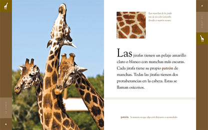 Planeta animal - New Edition: La jirafa by The Creative Company Shop