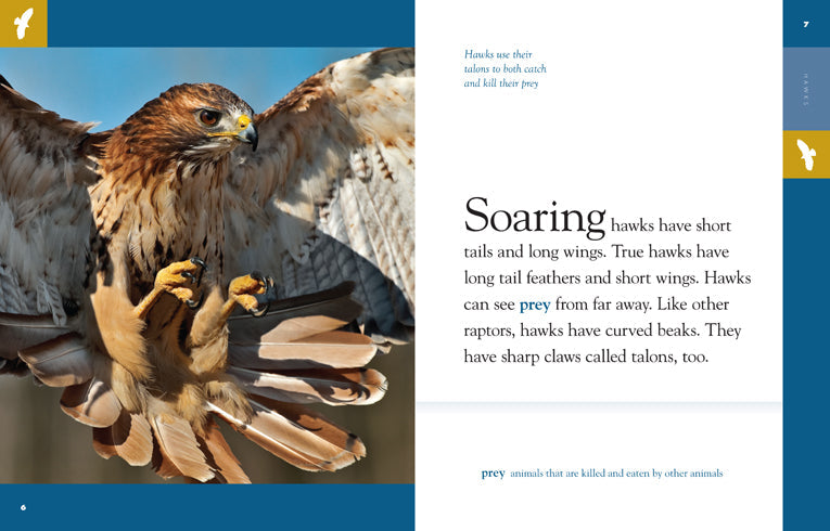 Amazing Animals - Classic Edition: Hawks by The Creative Company Shop