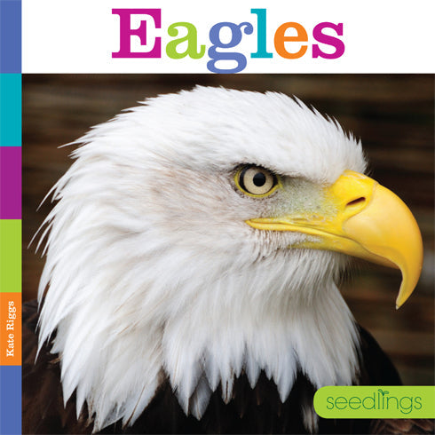 Seedlings: Eagles by The Creative Company Shop