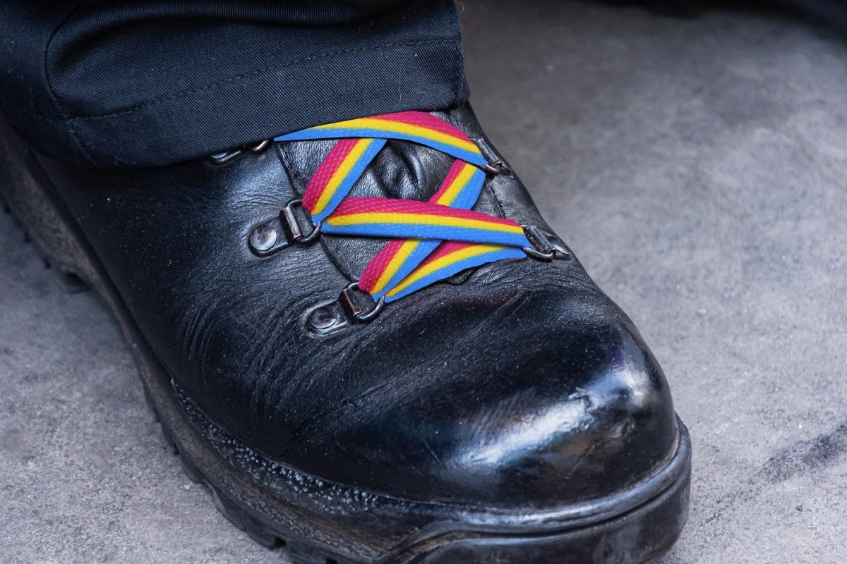 Pansexual Flag Striped Shoe Laces by Fundraising For A Cause