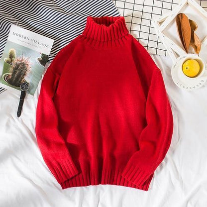 Double Double Knit Turtleneck Sweater by White Market