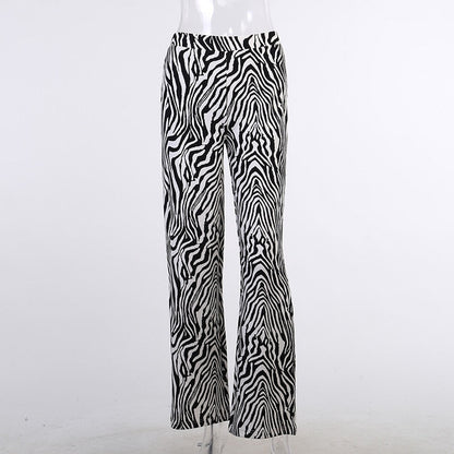 Psychedelic Zebra Print Pants by White Market