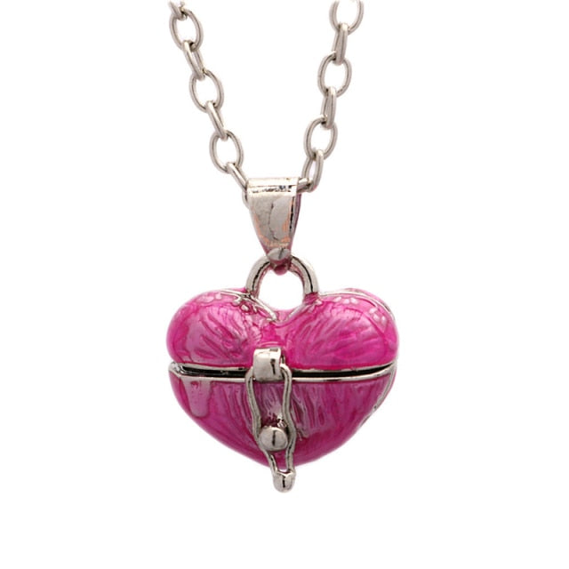 Heart Pill Case Necklace by White Market