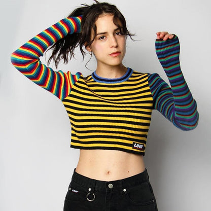 Multi Colored Knitted Striped Cropped Top by White Market