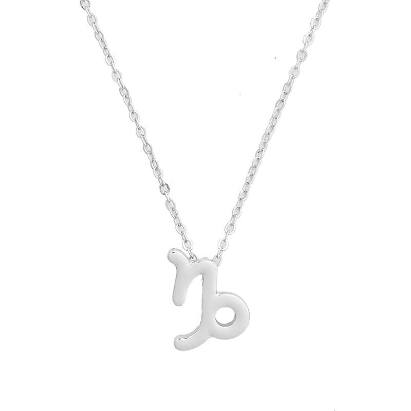 Zodiac Necklace by White Market