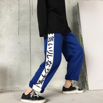 Japanese Side Striped Trousers by White Market